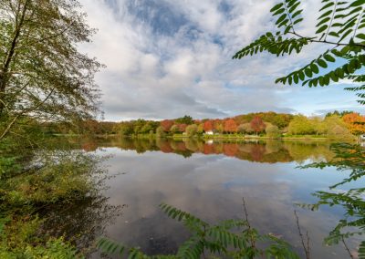 Randonnées en forêt du Gâvre