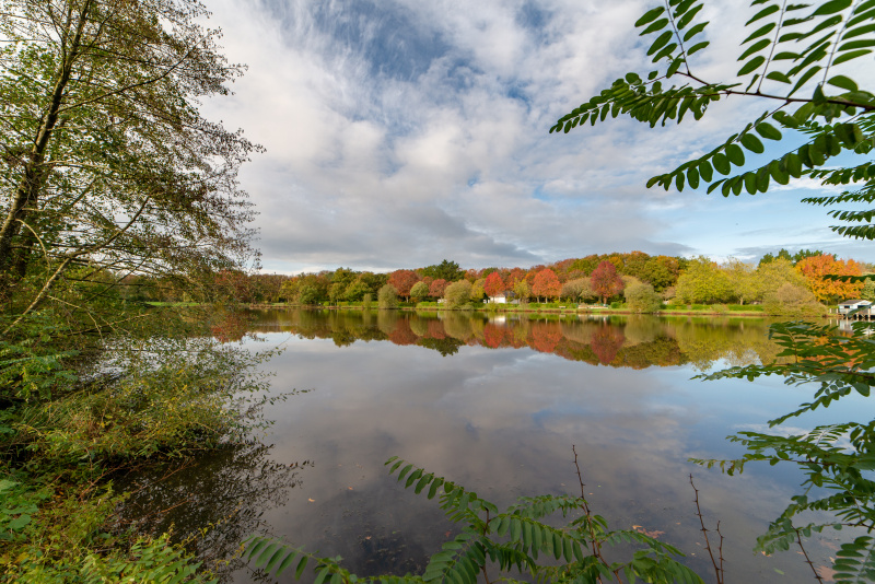 Randonnées en forêt du Gâvre
